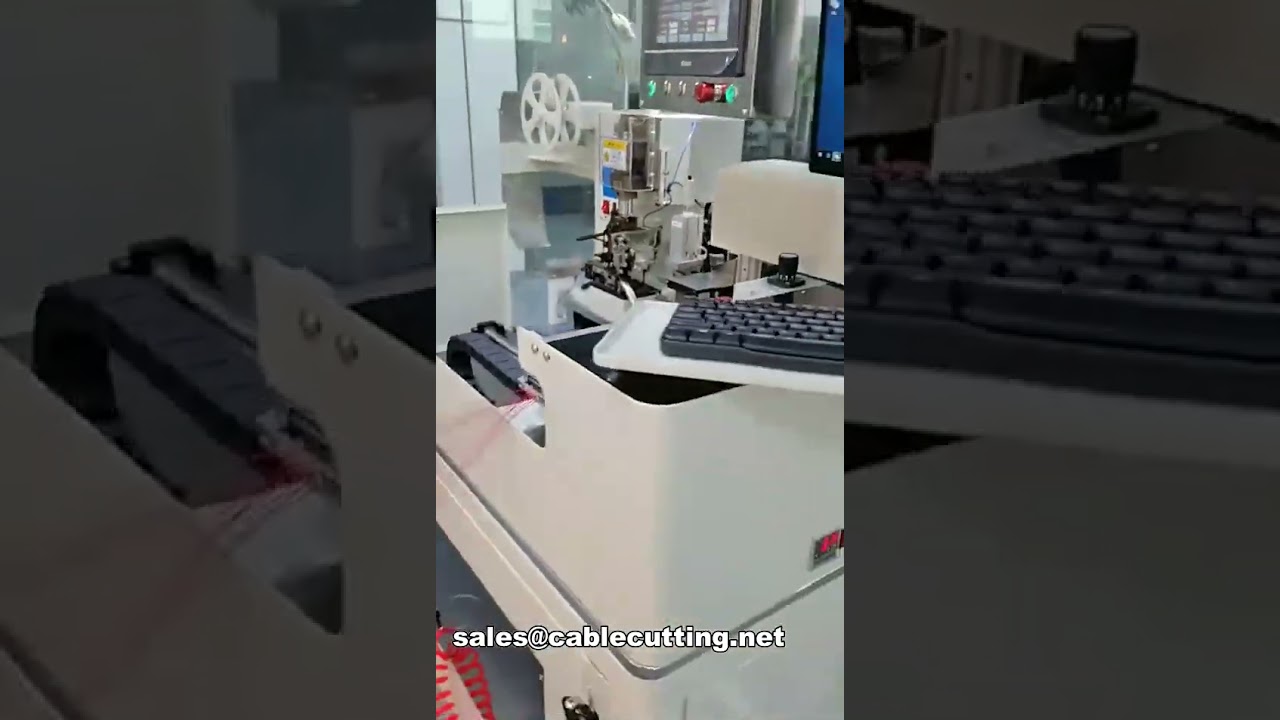 WPM-DPW12: Macchina automatica per l'inserimento multiplo di cavi in connettori di plastica
