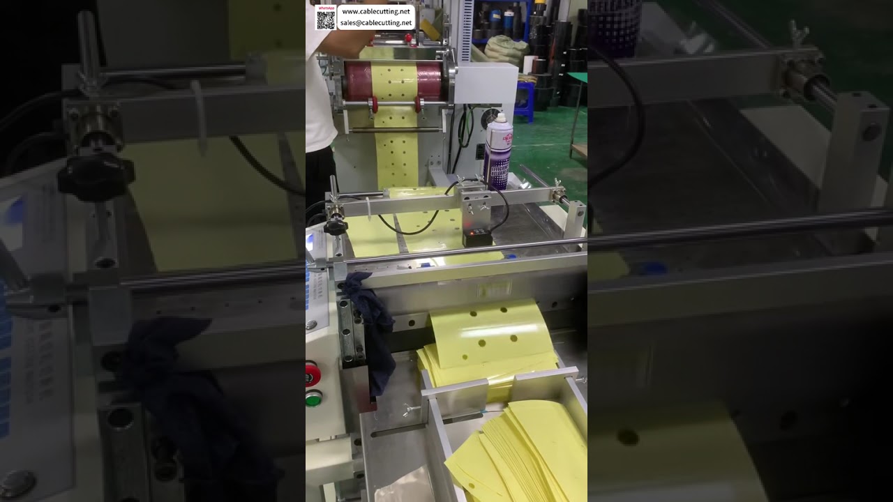 Macchina automatica per fustellatura sincronizzata con inseguimento colore – Taglio lastre e set utensili