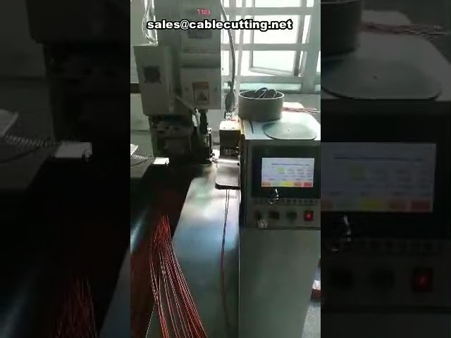 Macchina Automatica Taglia, Spela e Crimpa Cavi a Doppia Estremità