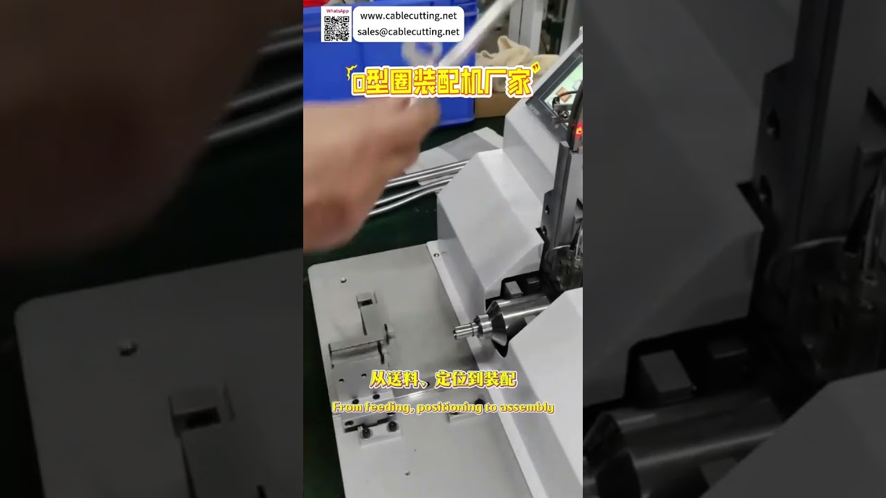 Macchina Automatica per Assemblaggio O-Ring | Alta Efficienza e Fornitore Personalizzato di Guarnizioni