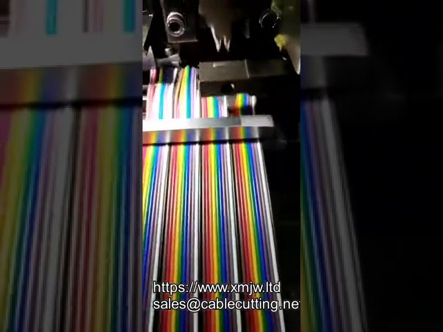 Macchina semiautomatica per spellatura e crimpatura cavi a nastro 3 20p - Ideale per cavi piatti 20-40 pin
