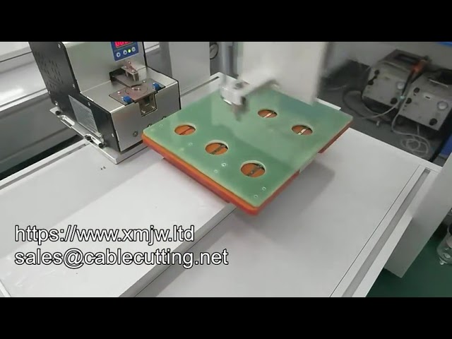 Robot da Tavolo per Avvitatura Automatica a Vite: Fissaggio Industriale di Precisione