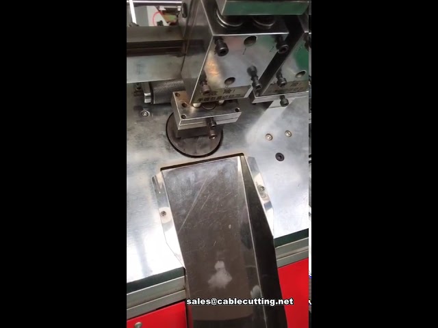 Macchina a ultrasuoni per taglio cinture di sicurezza e nastri angolari | Taglio di precisione industriale