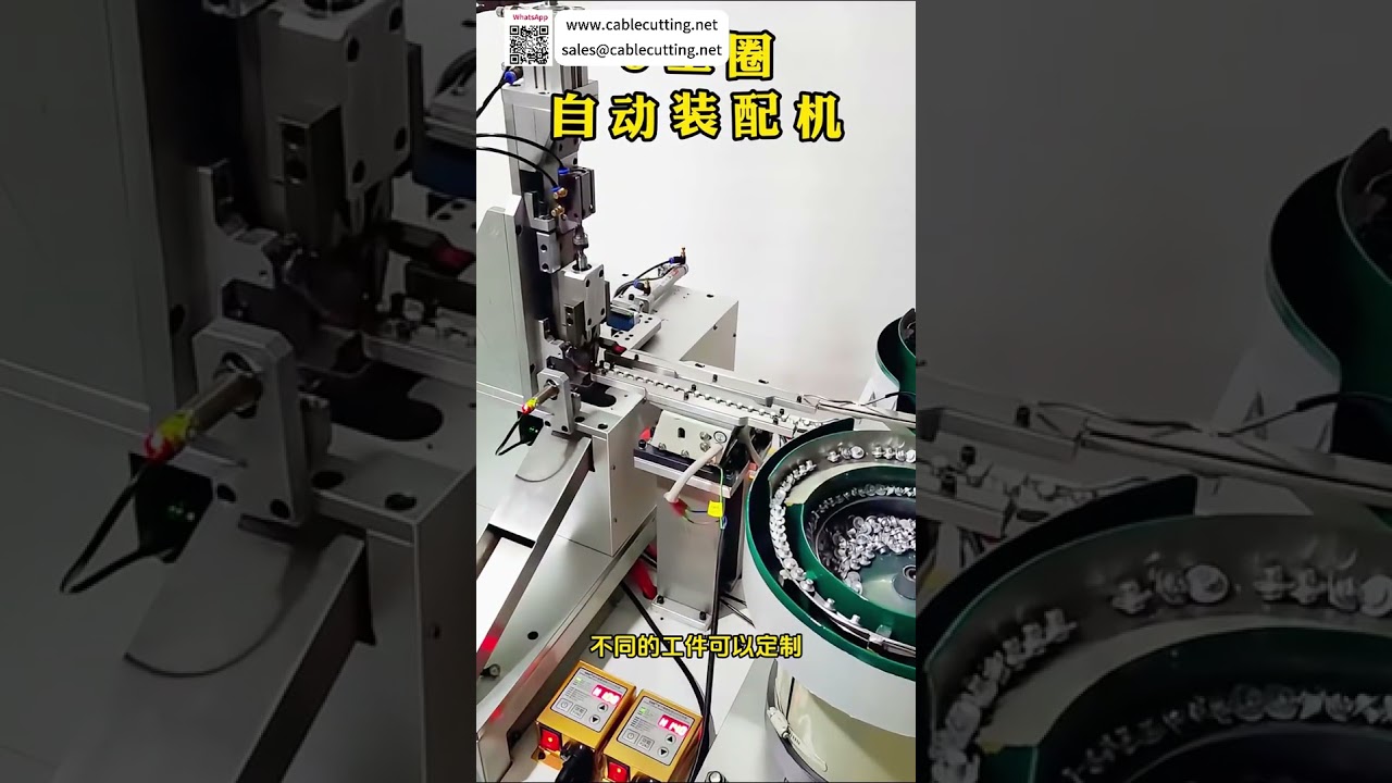 Produttore leader di macchine assemblatrici per circlip: soluzioni automatizzate di alta precisione e personalizzate