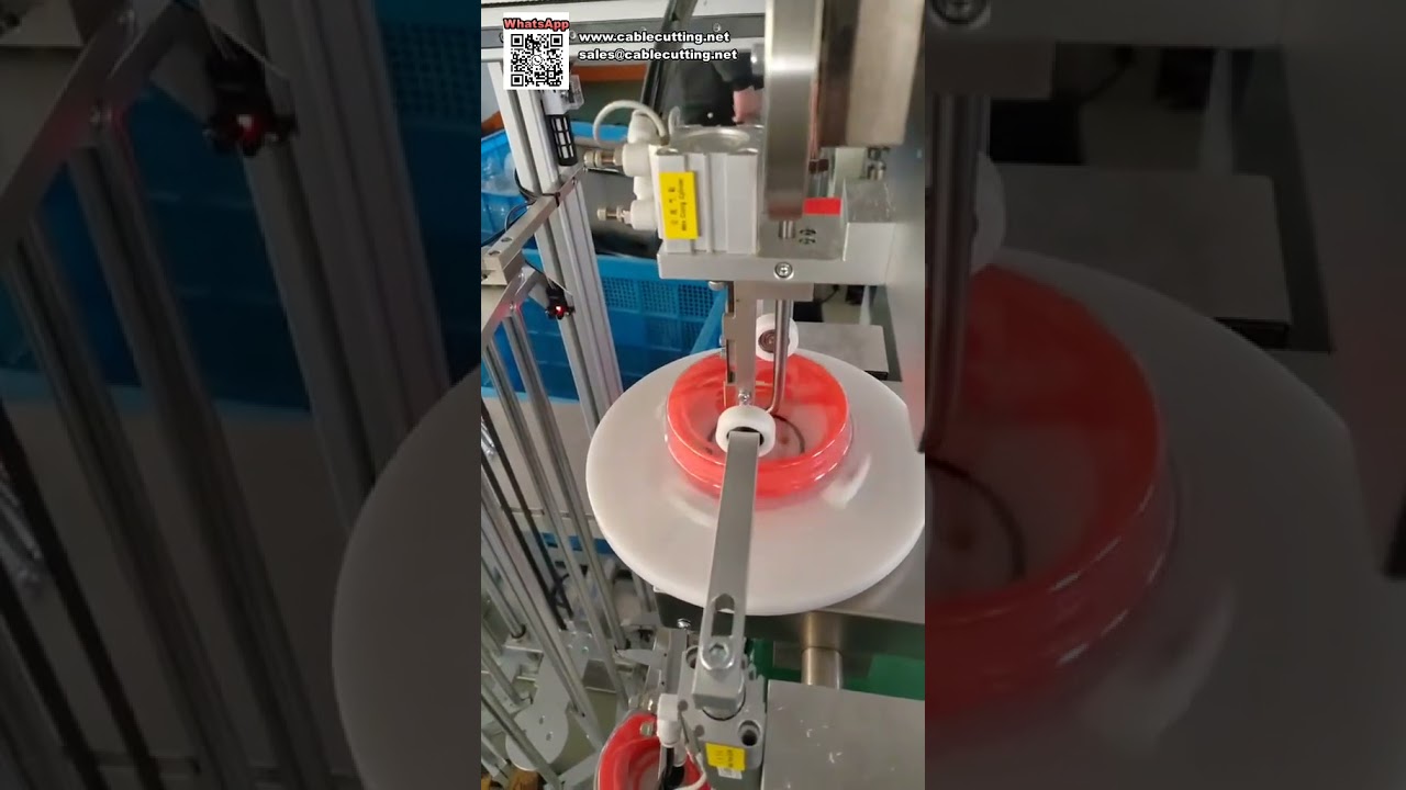 Macchina Avvolgitrice Automatica a Blister per la Produzione di Filo Decespugliatore