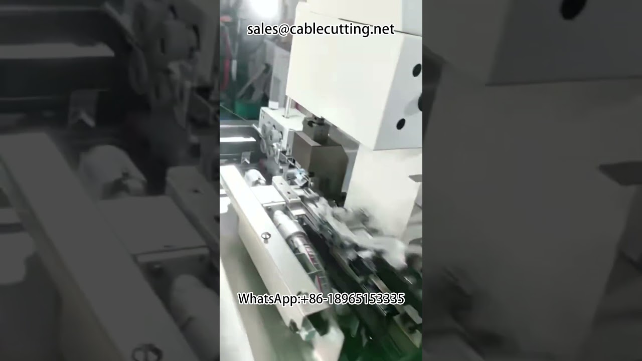 Bulk grain terminal machine #automatic bulk grain tubular terminal double head crimping machine