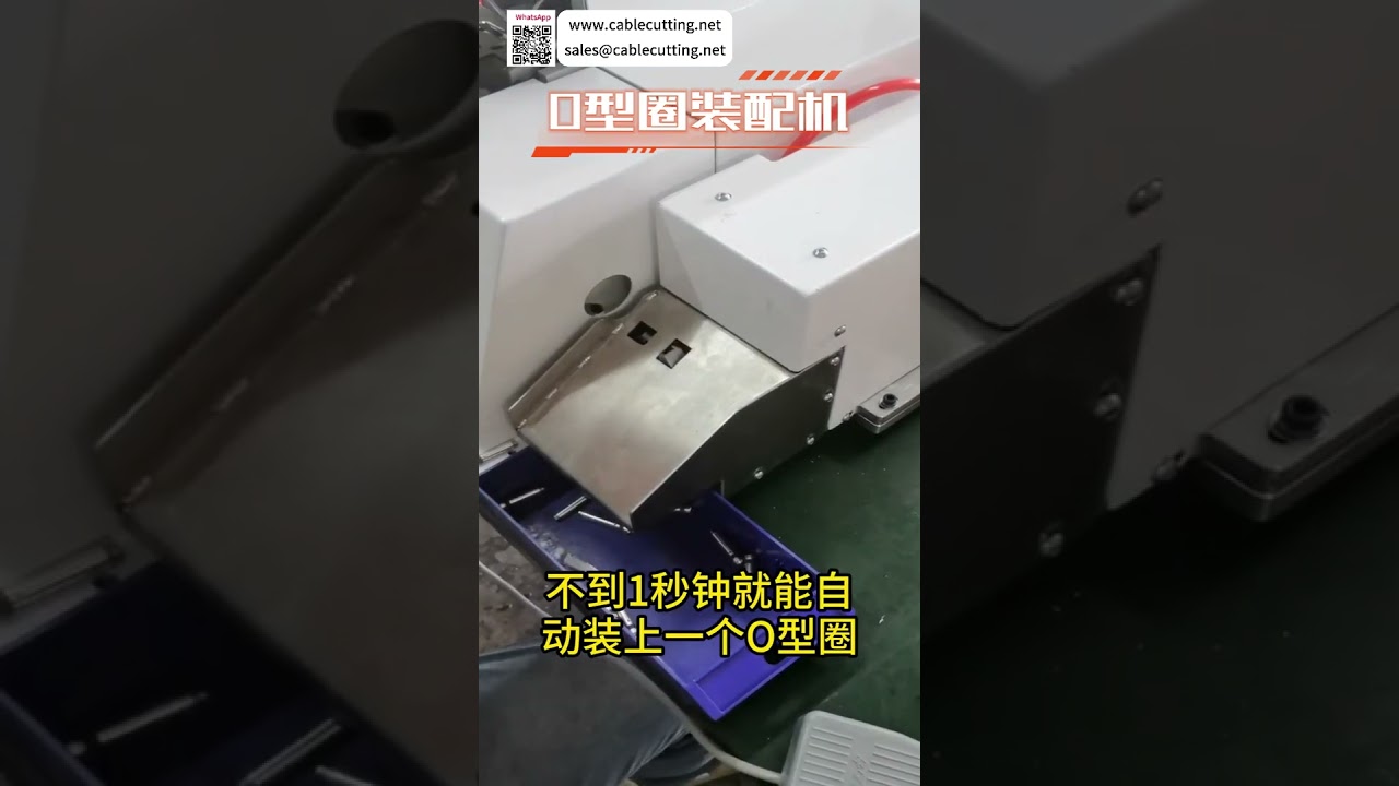 Macchina Intelligente per Assemblaggio O-Ring: Linea di Produzione Automatica ad Alta Efficienza per Guarnizioni di Tenuta
