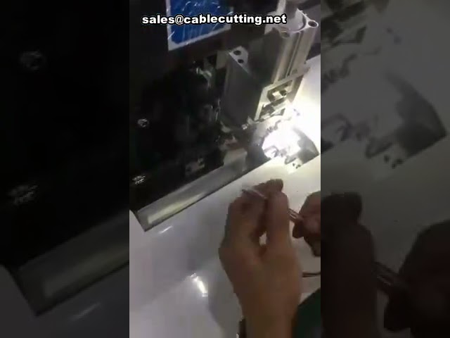 Macchina spellafili e crimpatrice automatica per cavi - Pressa terminali di precisione ad alta velocità