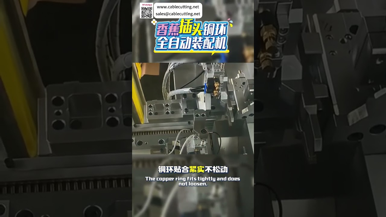 Macchina Automatica per Assemblaggio Anelli in Rame su Spine Banana – Alta Efficienza Industriale