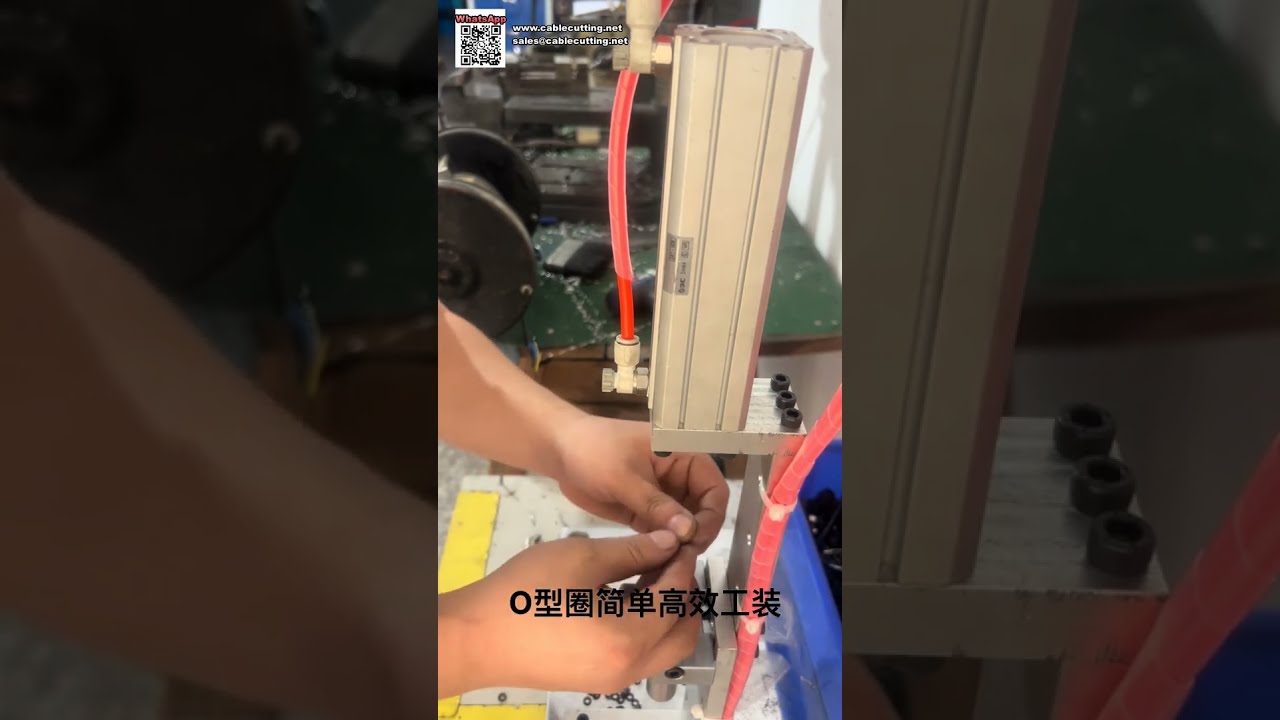 Macchina automatica per assemblaggio O-Ring e stampi di precisione per anelli di tenuta - Shorts