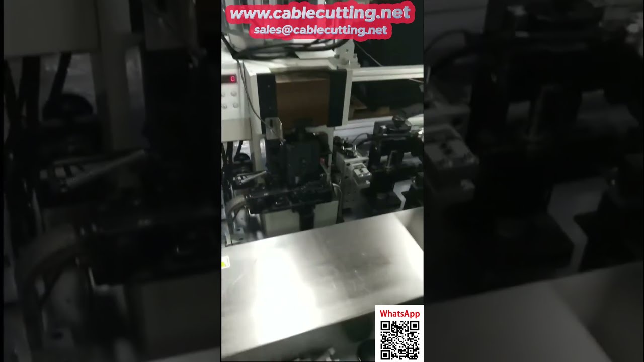 Macchina automatica per doppia crimpatura e inserimento alloggiamento con rilevamento visivo e pressione