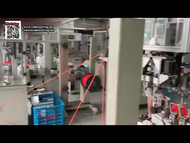 Macchina Avvolgitrice Automatica per Confezionamento Efficace di Trimers a Cartoncino