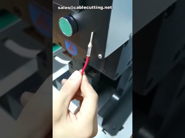 Macchina Crimpatrice Servo per Terminali Cavi | Crimpatura di Precisione per Automazione