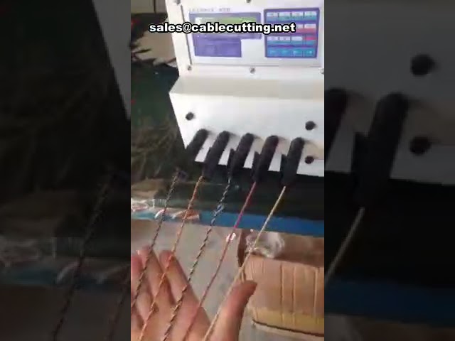 Macchina per cordatura a morsetto con 5 pinze – Attorcigliatrice e legatrice fili professionali