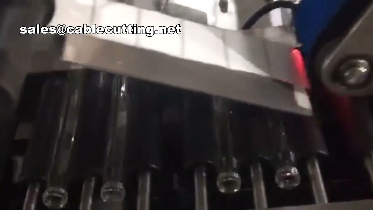 Macchina etichettatrice a manica termoretraibile per bottiglie e sacchetti piatti | Video dimostrativo