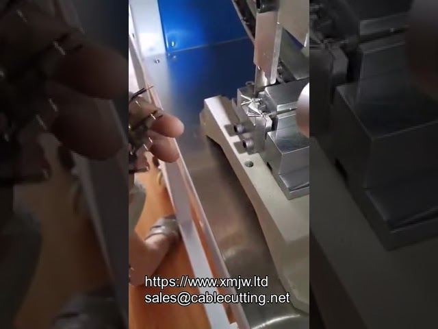 Macchina Crimpatrice Semi-Automatica per Spine a 2 Pin | Assemblaggio Cablaggi