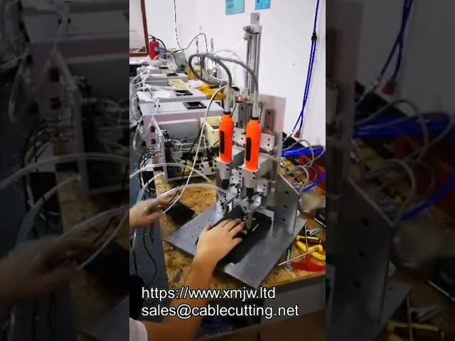 Cacciavite Elettrico a Doppia Testa con Asse Z e Sistema di Alimentazione Automatica