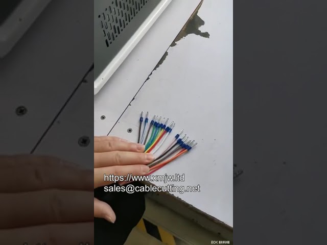 Macchina Automatica per Spellatura e Crimpatura di Capicorda: Efficienza Industriale