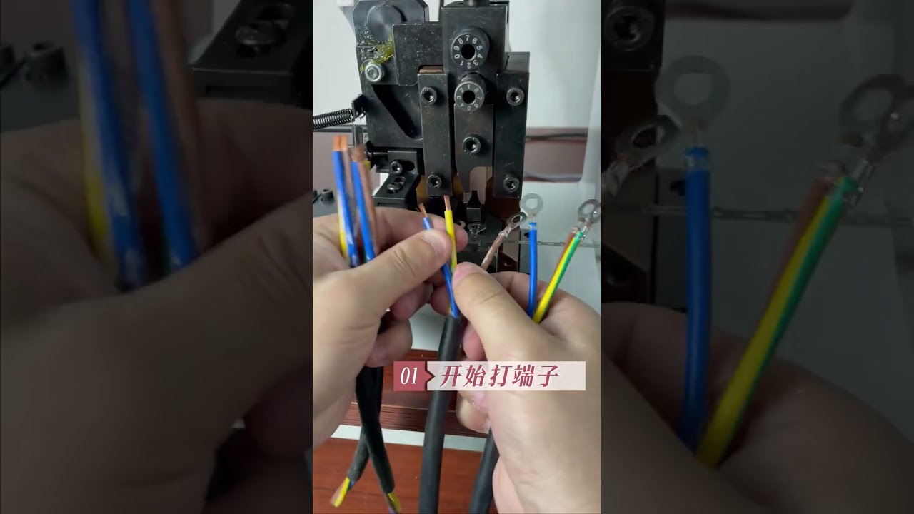 Macchina per crimpatura terminali 2T con stampo orizzontale per fili 2,5 mm² (diametro ~3,2 mm) | Automazione industriale