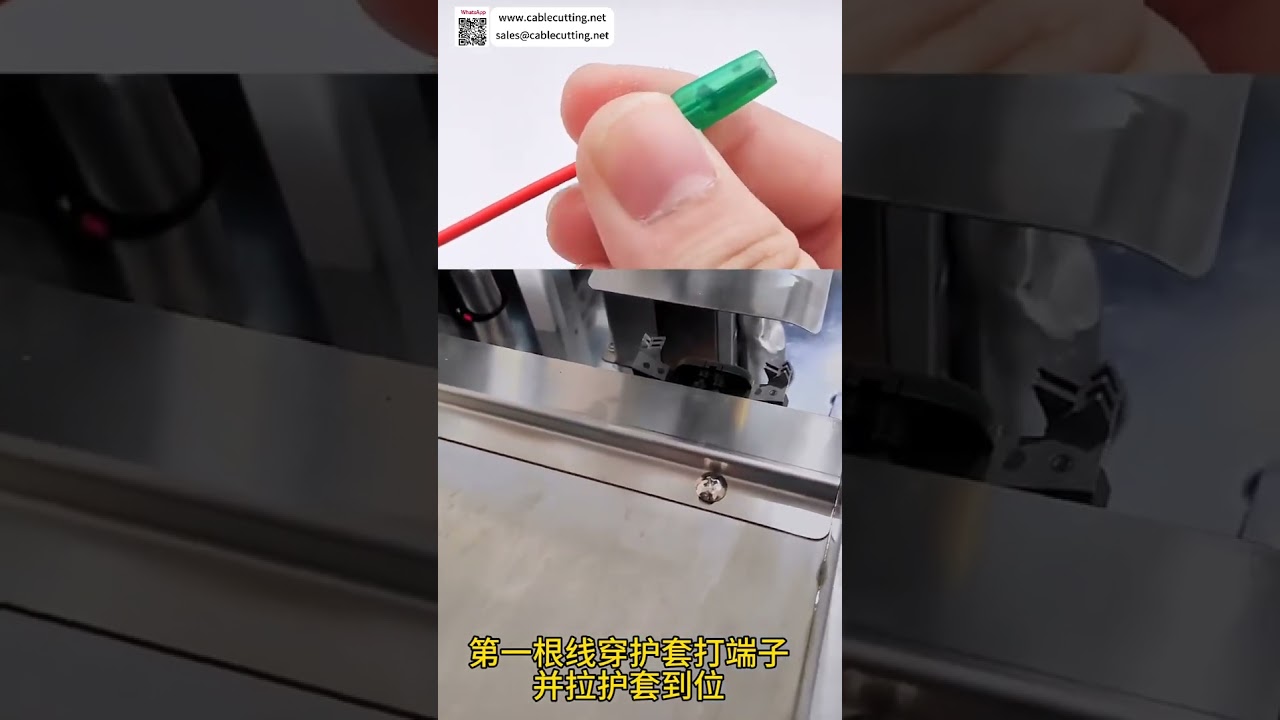 Crimpatrice per Doppio Filo con Inserimento Testa Singola | Macchina Automatica per Cablaggio