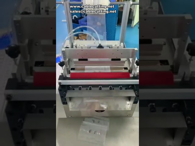 Macchina saldatrice e taglierina per film in PVC e PE | Sacchetti automatici a pressa calda