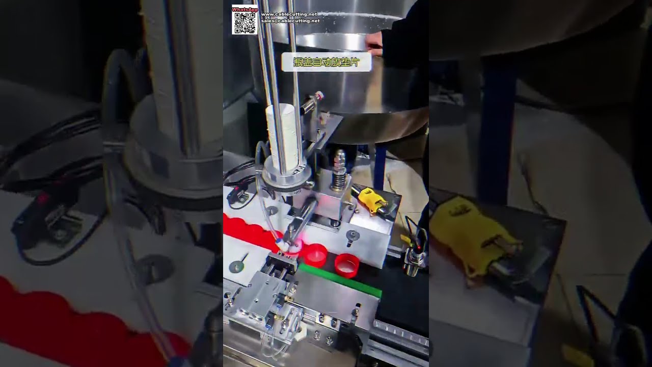 Macchina automatica per assemblaggio tappi e rilevatore metalli per industria alimentare - Shorts
