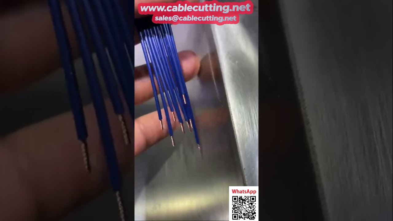 Macchina automatica per inserimento e torsione di mini guarnizioni impermeabili