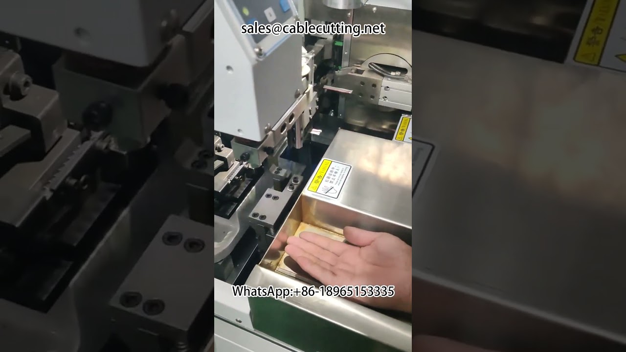 Automatic double head wire stripping machine #harness Equipment #automation equipment
