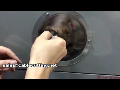 Macchina avvolgitrice automatica per nastro Teflon WPM-13-08 | Sigillatura professionale