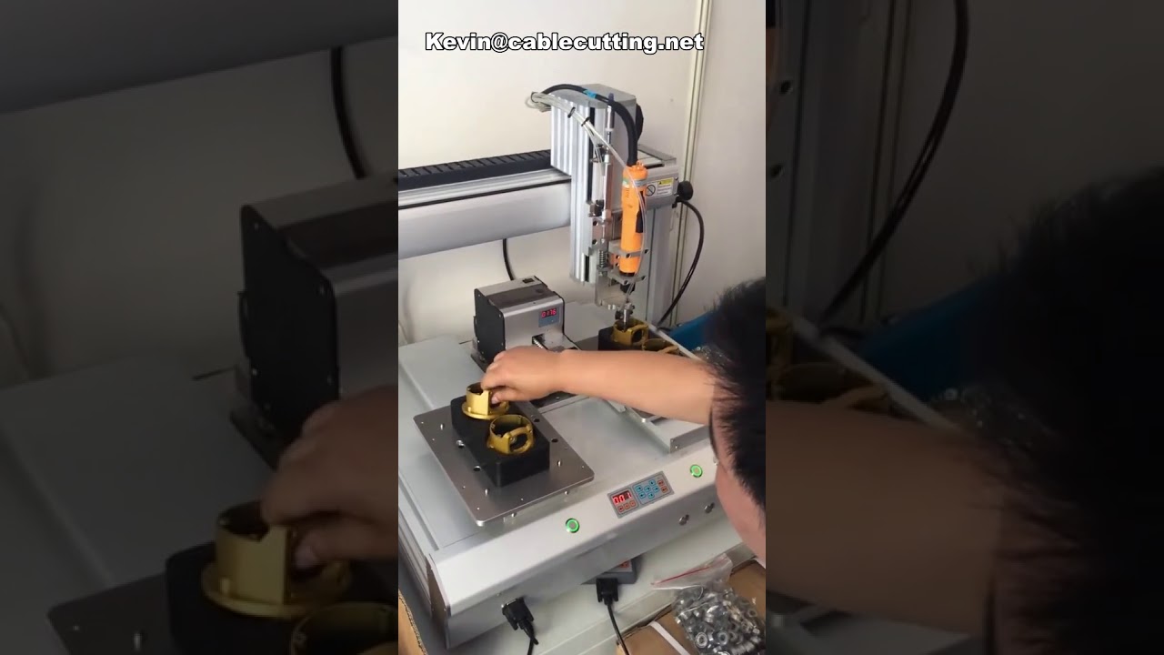 Robot avvitatore automatico da tavolo a 4 assi con doppia piattaforma