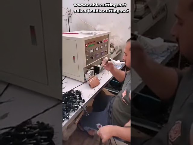 Tester Automatico per Cavi di Alimentazione: Singola e Doppia Stazione con Test di Piegatura e Batteria