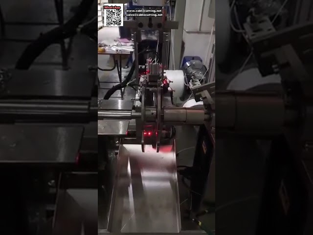 Macchina Avvolgitrice Automatica ad Alte Prestazioni per Bobine da 1 Libbra di Filo Tagliaerba