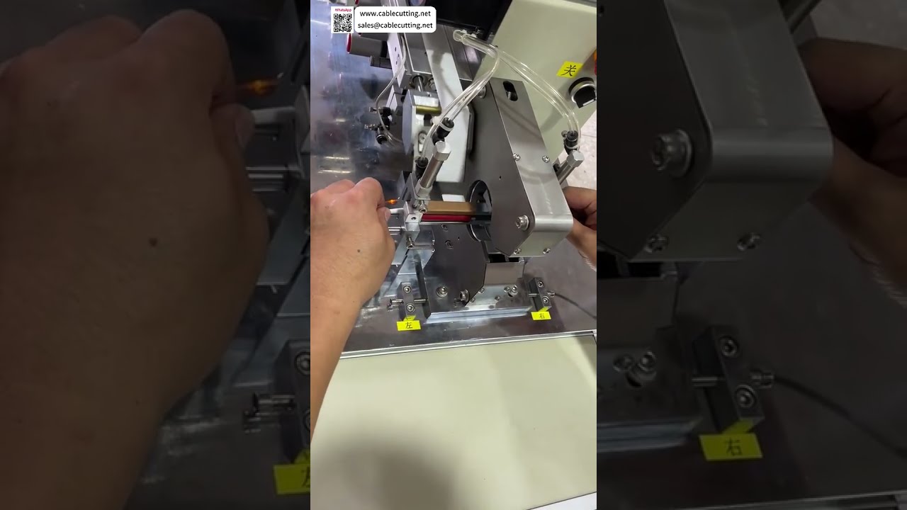 Macchina Etichettatrice per Filo a Lunghezza Fissa: Applicazione di Precisione di Etichette Avvolgenti - Shorts